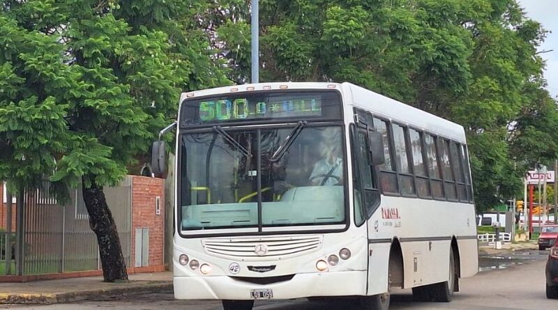 linea 500